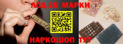 гидра Рязань