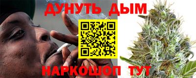 гидра Рязань
