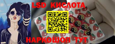 гидра Рязань