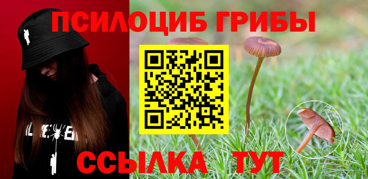 Галлюциногенные грибы Cubensis  Псилоцибиновые грибы мицелий  закладка  Приморско-Ахтарск  Вход с VPN 