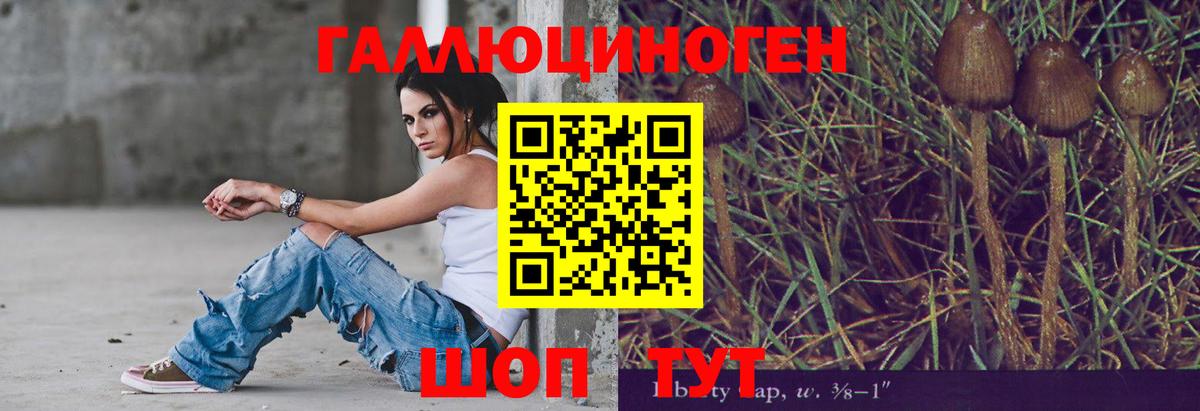 Псилоцибиновые грибы Magic Shrooms Приморско-Ахтарск