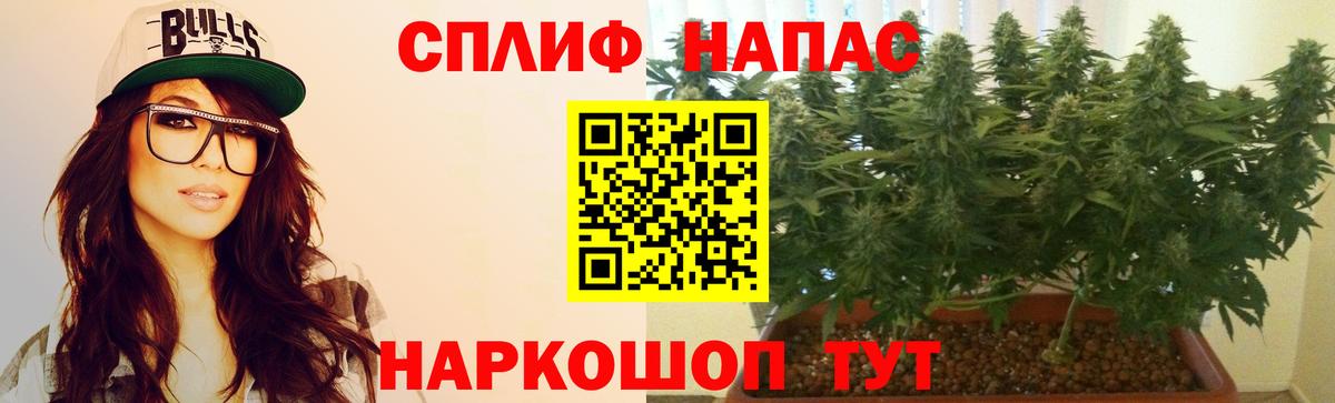 Шишки марихуана OG Kush Приморско-Ахтарск